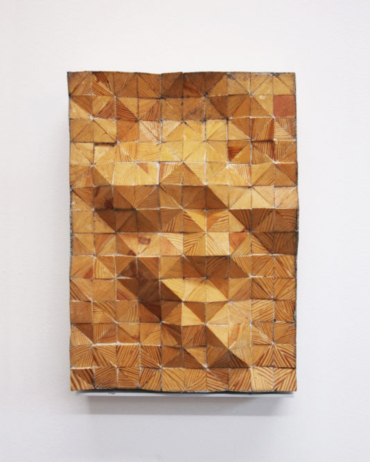 Smoke Without Fire

30 x 21 cm | wooden former | 2015